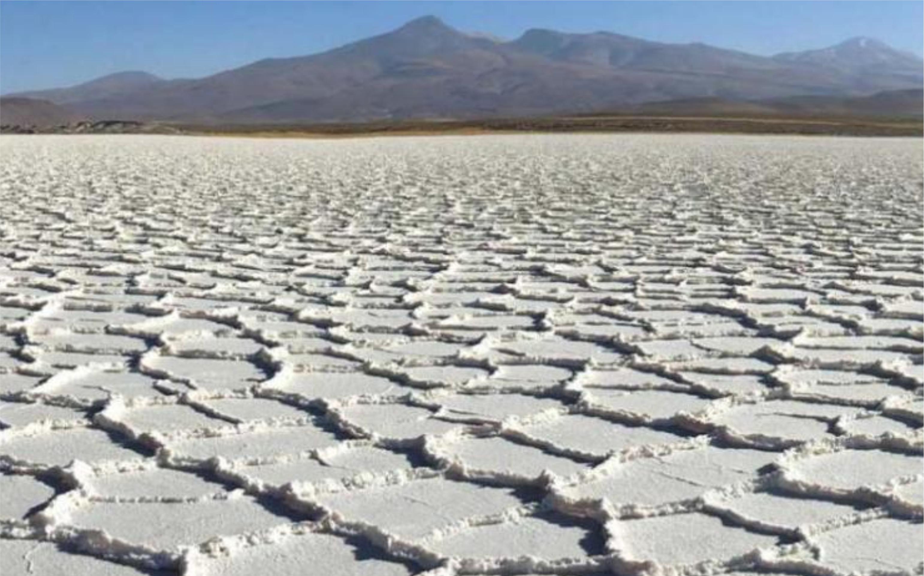La fiebre por el litio se acelera en el norte de Argentina