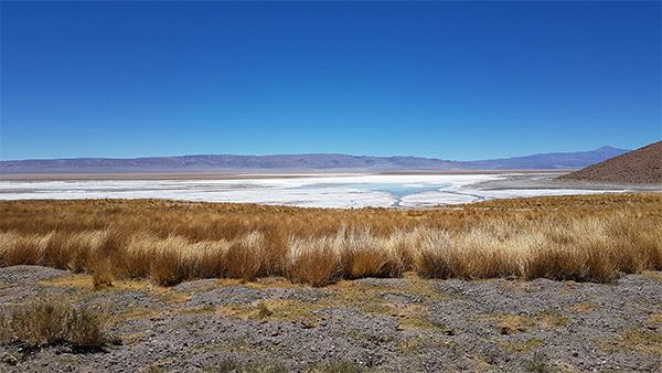 Argentina Lithium completó drilling inicial en Rincón Oeste