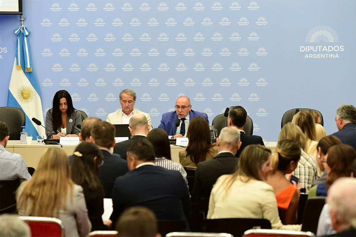 audiencia-glaciares-2026-prensa-diputados-2-1