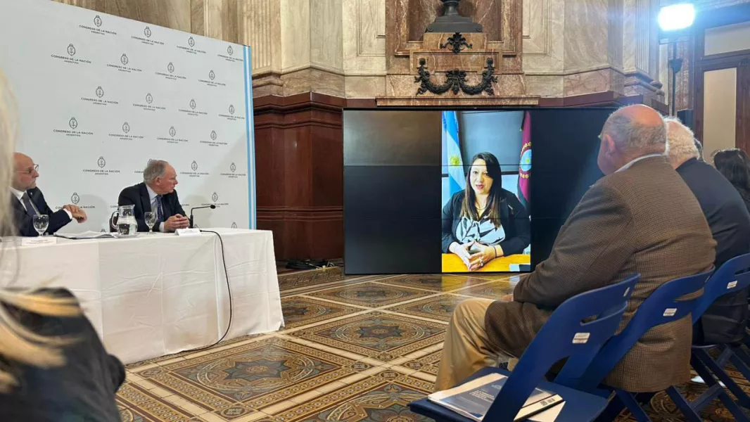 103808-el-cofemin-presidido-por-salta-llevo-la-voz-federal-de-la-mineria-al-senado-de-la-nacion