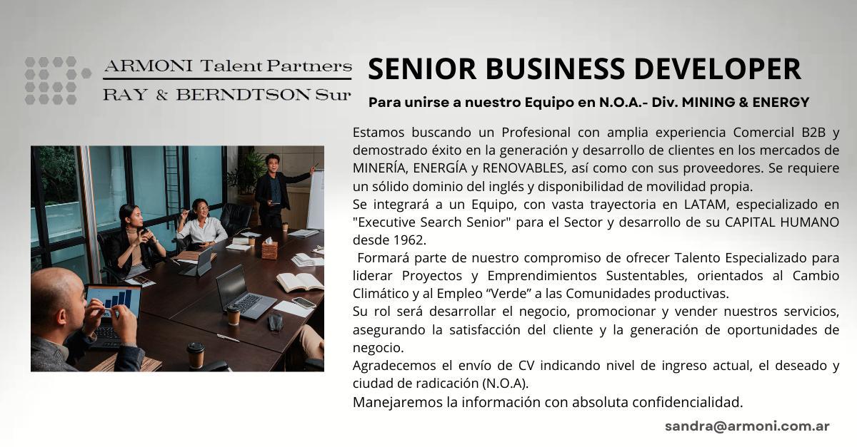 ARMONI - Business Developer foto