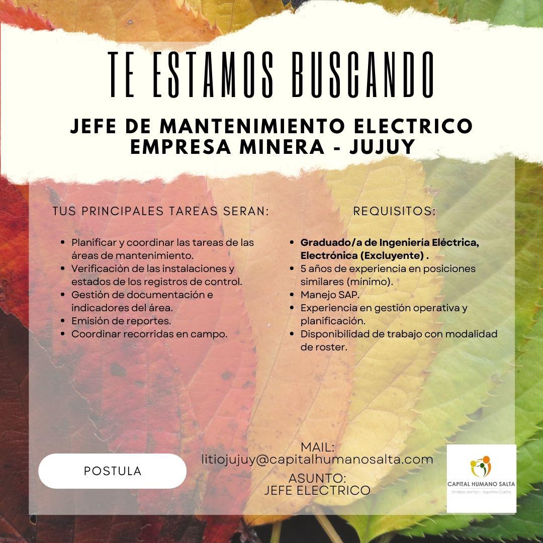 WhatsApp Image 2023-04-21 at 15.13.22 (2)