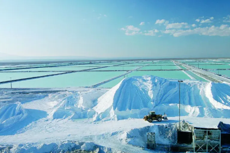 Captura-de-pantalla-2024-09-26-115050-1-768x512