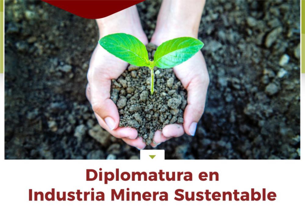 DiplomaturaIMS