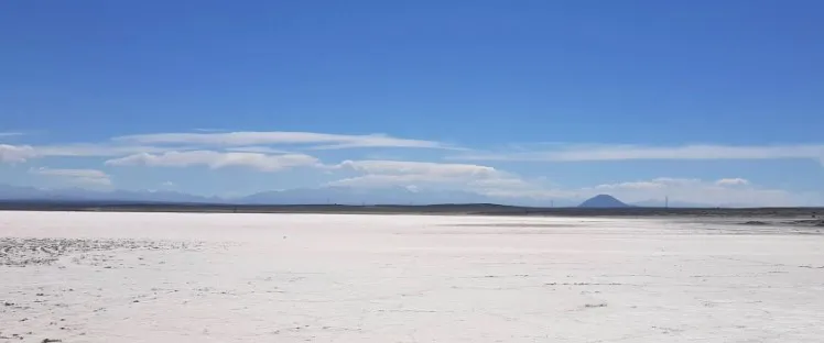 multimedia.normal.b2c94de22f55aece.MTdfbm9ybWFsLndlYnA=