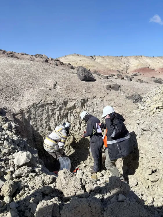 WhatsApp_Image_2025-11-30_at_13.20.49