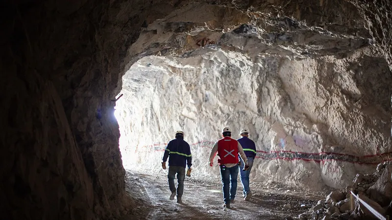 54630604441_fc4fa28dce_c