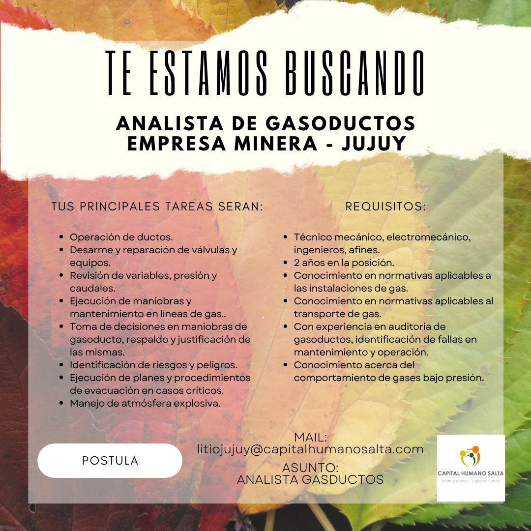 WhatsApp Image 2023-04-21 at 15.13.18 (1)