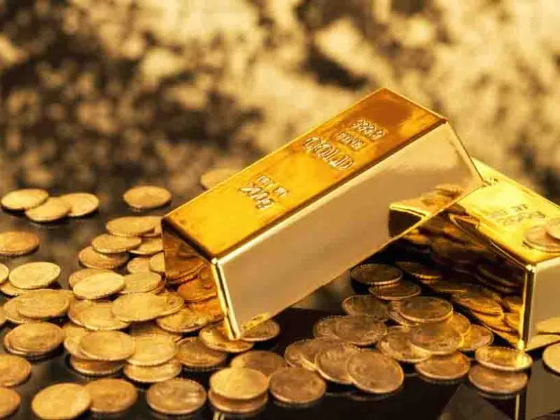 Diseno-RM-2025-10-31T101232.163.jpg (1)