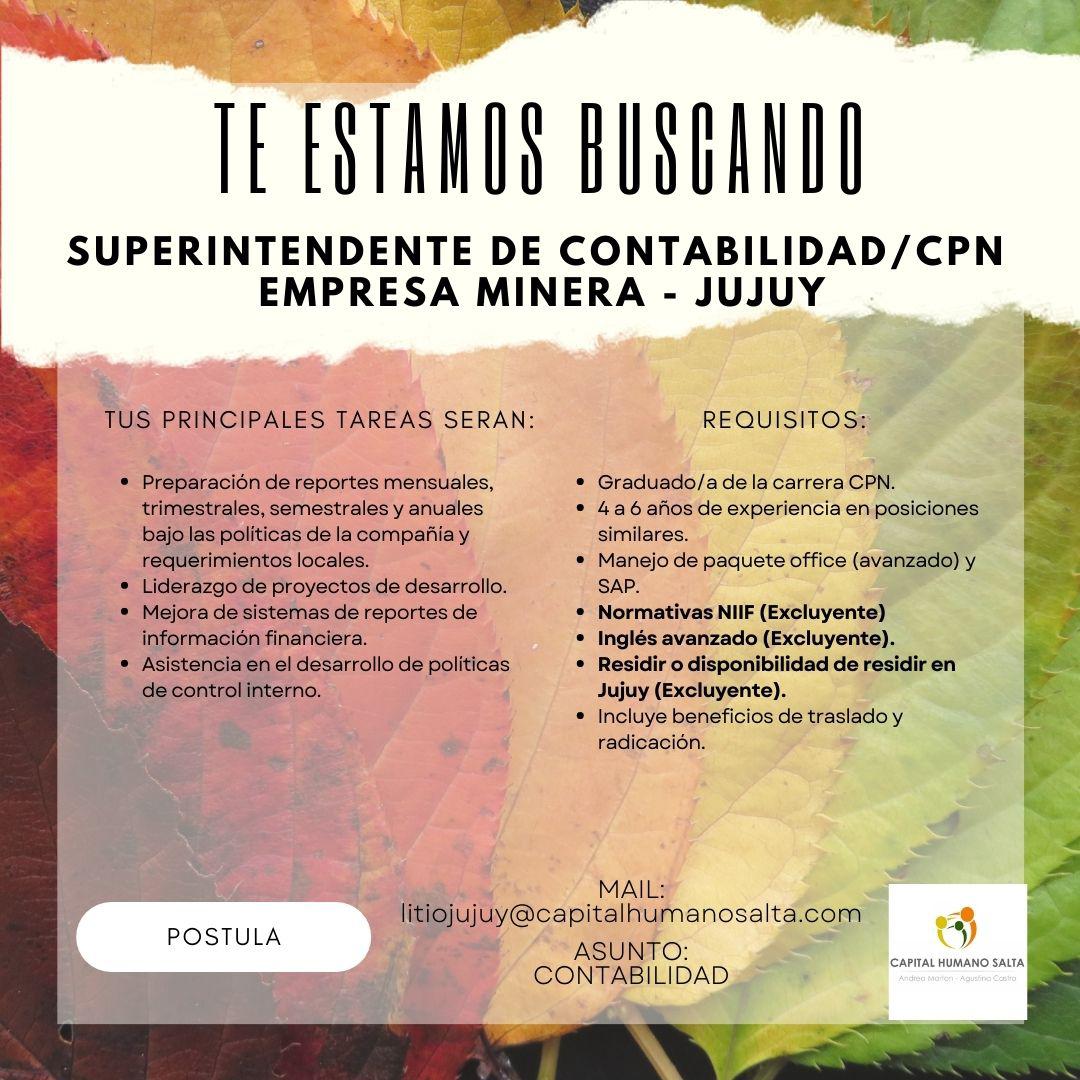 WhatsApp Image 2023-04-21 at 15.13.24