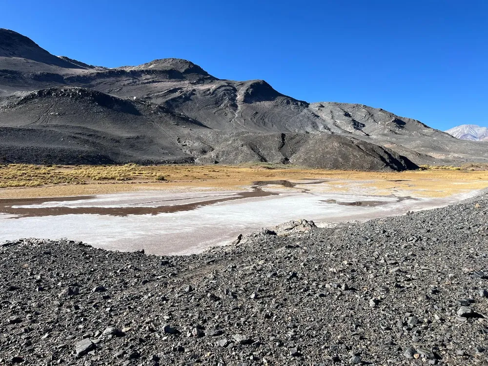 WhatsApp Image 2024-10-14 at 1.05.52 PM