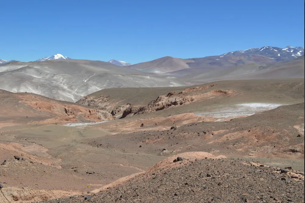 camyen-define-su-estrategia-trabajo-2026