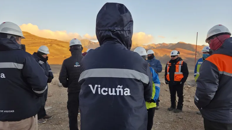 vicuna-trabajadores