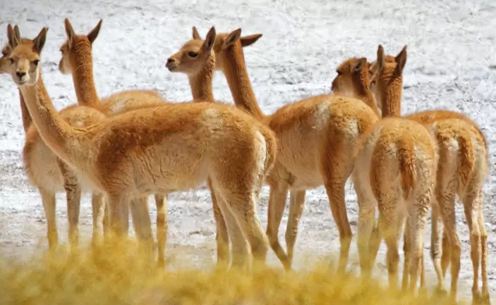 69c19f128b80d__993x610