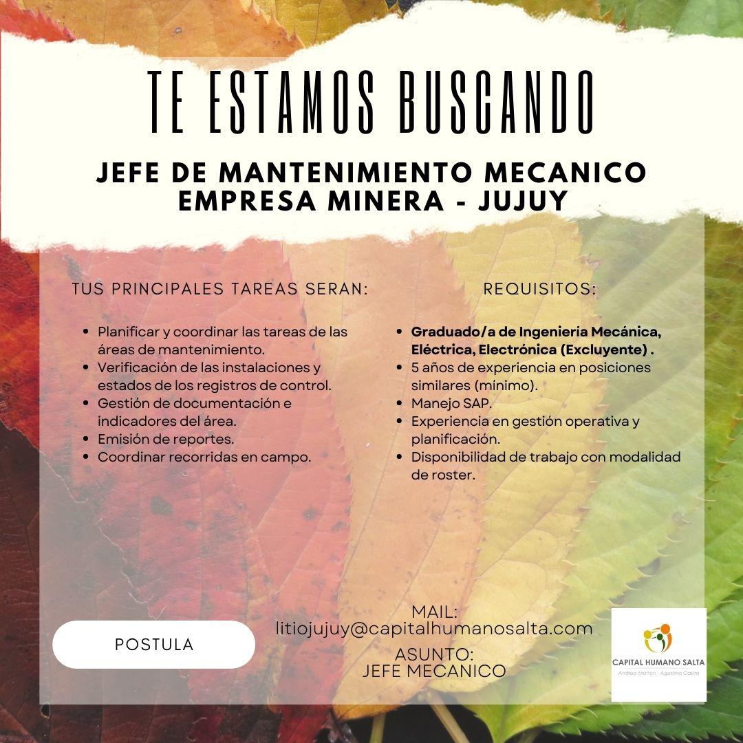 WhatsApp Image 2023-04-21 at 15.13.22 (1)