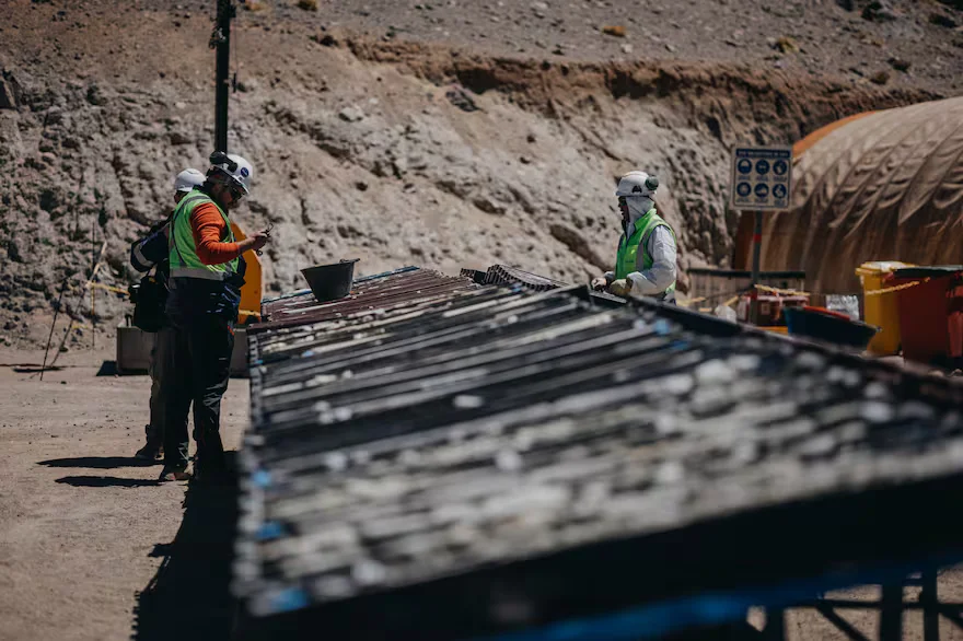 el-proyecto-vicuna-que-incluye-los-depositos-74PFFK3YT5HDLMT7H35HXNQAHI