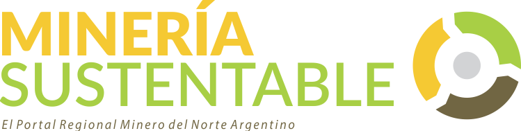 Logo Mineria Sustentable in BioMetallum startup direct lithium extraction methot website